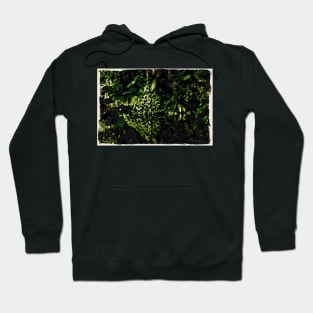 Mirror image pond / Maléa is looking for the goblin - children's book WolfArt Hoodie